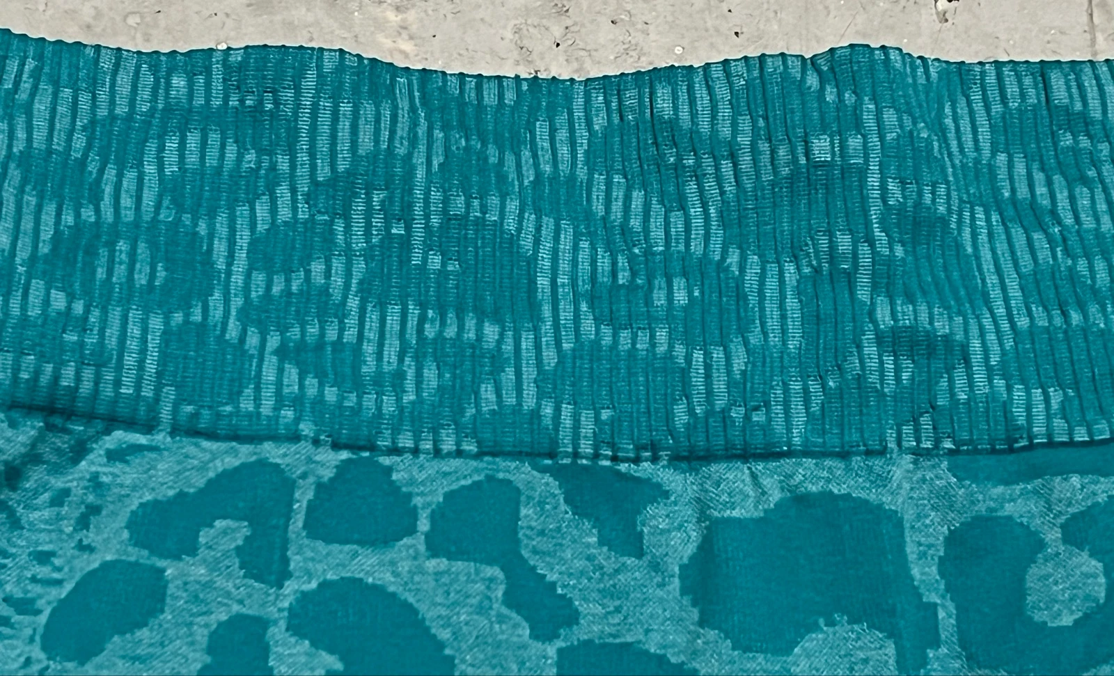 Shorts deportivos turquesa animal print  – photo 15